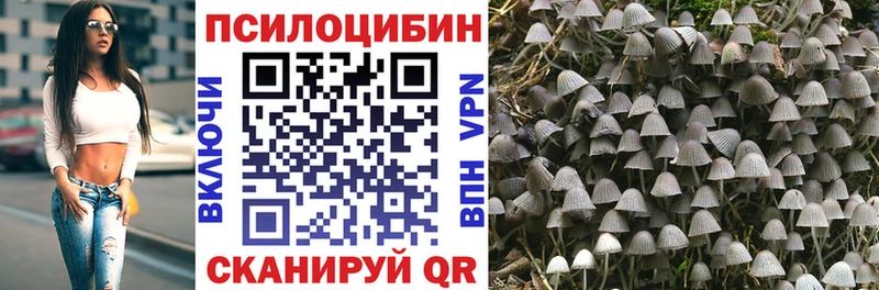 Купить где  Новотитаровская  Галлюциногенные грибы ЛСД 